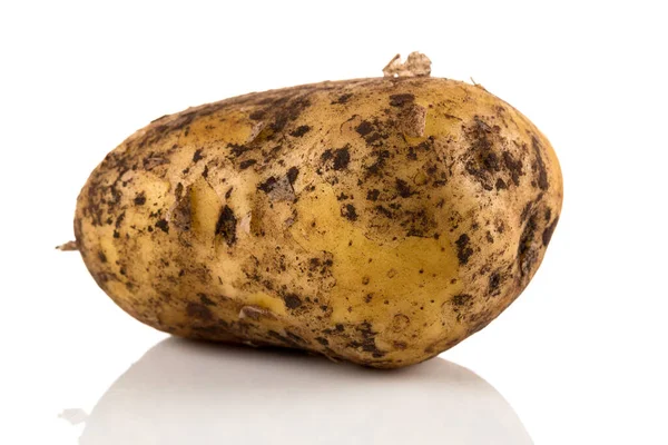 Βρώμικο Πατάτας Απομονωθεί Λευκό Φόντο — Φωτογραφία Αρχείου