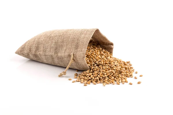 Цельный Фон Зерна Сырой Пшеницы Мешок Белом — стоковое фото