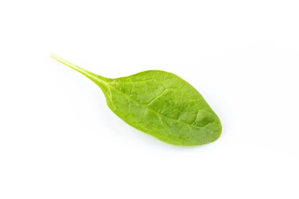 Grüne Frische Spinatblätter Auf Weißem Hintergrund — Stockfoto