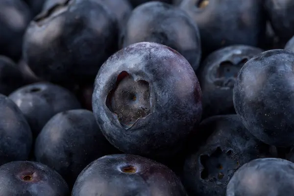 stock image Group of fresh juisy blueberries on stone plate background