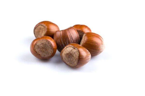 Hasselnötter Nötter Filbertnötter Isolerad Vit Bakgrund — Stockfoto
