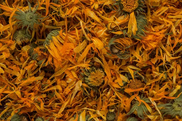 Calendula Flowewr Tee Für Den Aufguss Als Hintergrund — Stockfoto