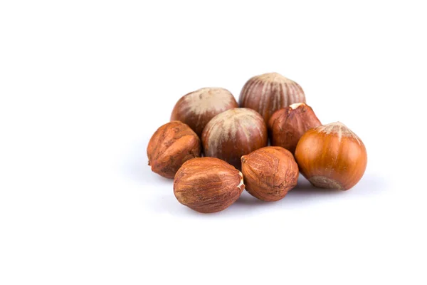 Hazelnuts Filberts Isolated White Background — стоковое фото