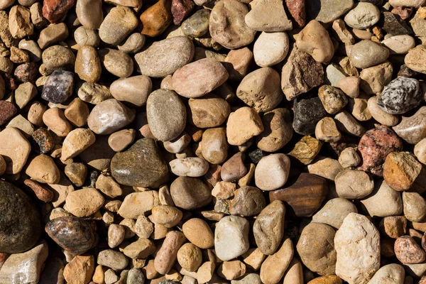 Wet Stone Pebbles Texture Details Stone Pebbles Background Can Used — Stock Photo, Image