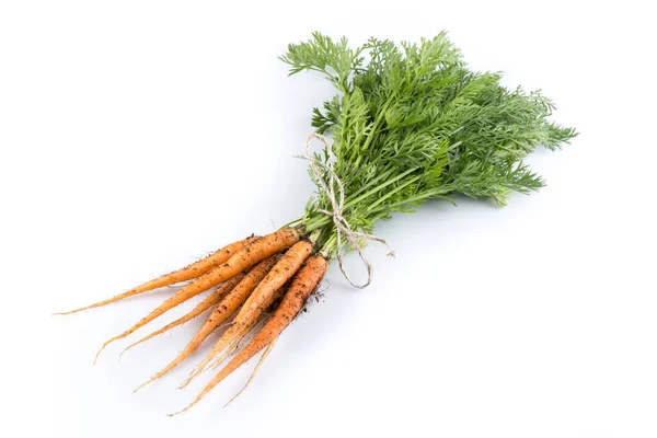 Heap Freshly Picked Carrots Isolated White — Stock Photo, Image