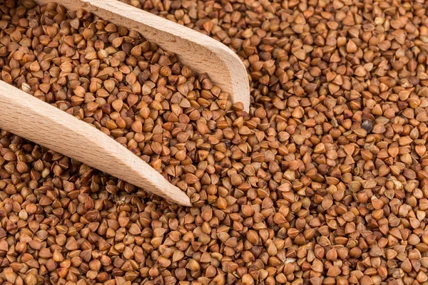 stock image Uncooked buckwheat on wooden spoon. premium buckwheat groats on white background