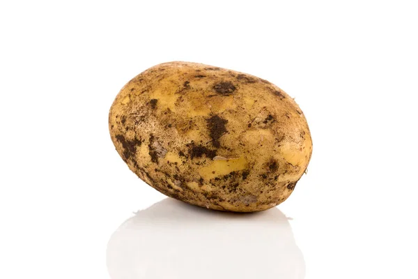 Свіжа Брудна Картопля Ізольована Білому Тлі — стокове фото