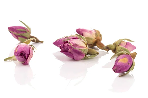 Rose Flower Dry Tea Decoration Isolated White Background — Foto Stock