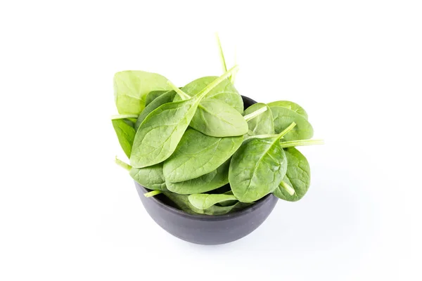 Green Spinach Leafs White Background — Stock Photo, Image