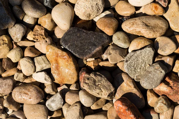 Wet Stone Pebbles Texture Details Stone Pebbles Background 디자인을 수있다 — 스톡 사진