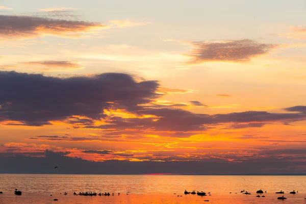 エストニアのタリンの海で日没のクルーズ客船 — ストック写真