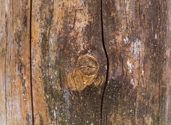 Vecchio Legno Log Texture Sfondo — Foto Stock