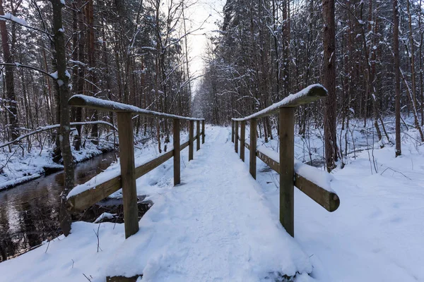 Kar Ormanındaki Ahşap Köprü Yakın Çekim — Stok fotoğraf
