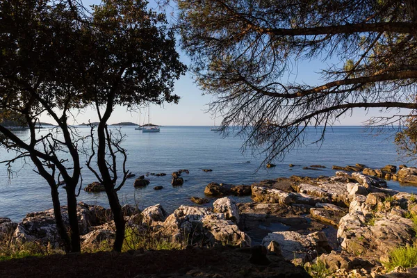 Solnedgång Och Lyxyacht Havet Rovinj Kroatien — Stockfoto