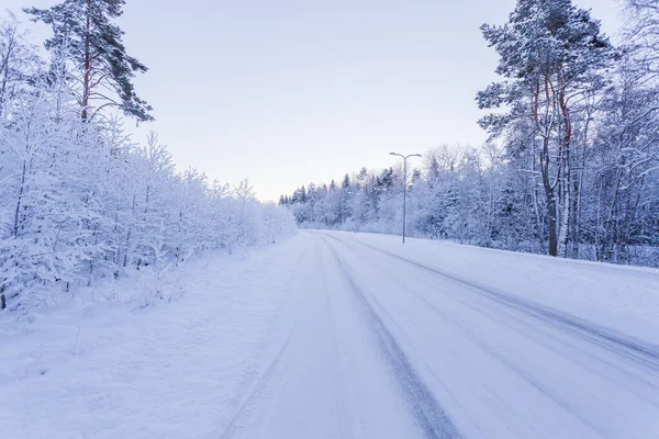 Foresta Serale Invernale Con Strada Coperta Neve Durante Tramonto — Foto Stock