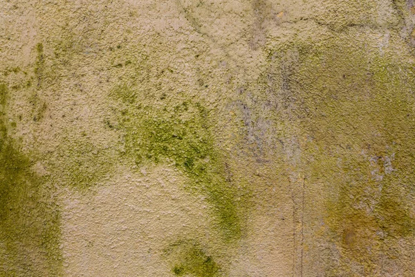 Grunge 背景墙脏纹理 — 图库照片