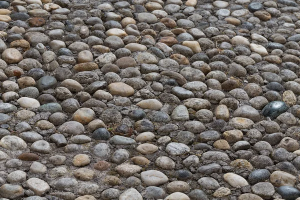 Fußweg Aus Kleinen Kieselsteinen — Stockfoto