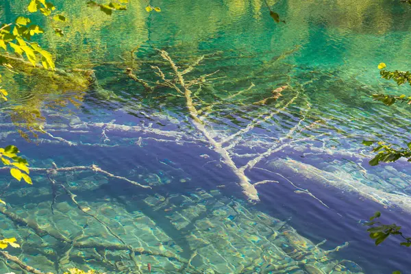 Słynny Chorwacki Parku Narodowego Jezior Plitwickich Europie — Zdjęcie stockowe