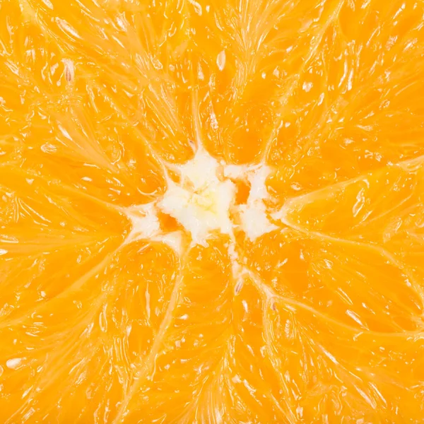 매크로 사진의 배경에 오렌지 — 스톡 사진