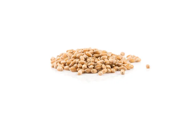 Зерно Пшеницы Динкель Изолированы Белом Фоне — стоковое фото