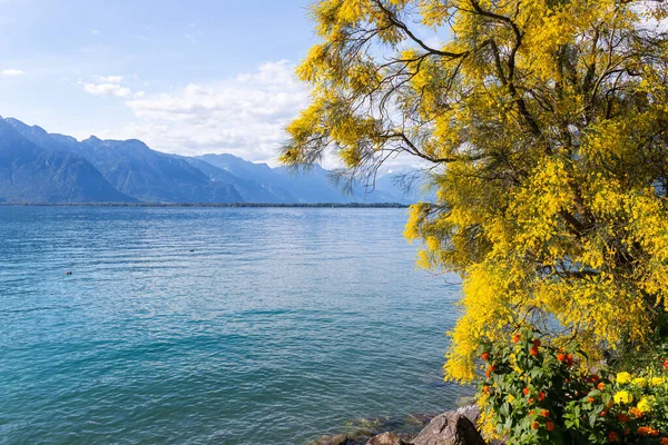 Montañas Lago Ginebra Desde Embankment Montreux Suiza — Foto de Stock