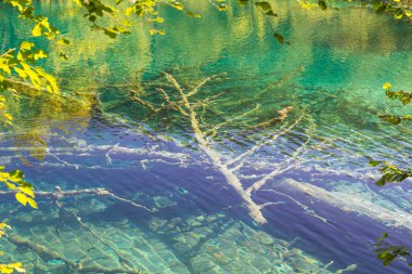 Avrupa'nın ünlü Hırvat Plitvice Gölleri Milli Parkı