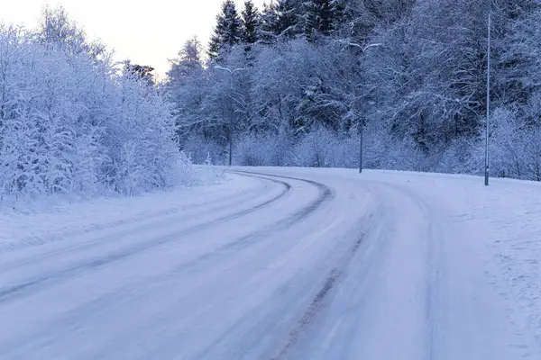 Winter Forest Met Weg Bedekt Met Sneeuw Tijdens Zonsondergang — Stockfoto