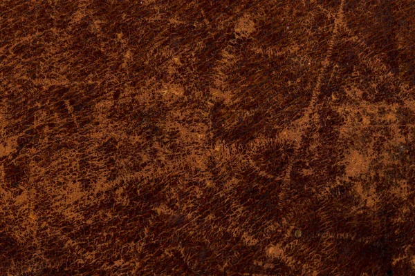 Грэмми Старая Текстура Кожи Темными Краями — стоковое фото