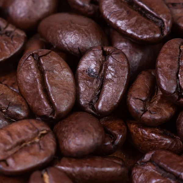 Coffee Bean Macro Extream Close Shot — Stock Photo, Image
