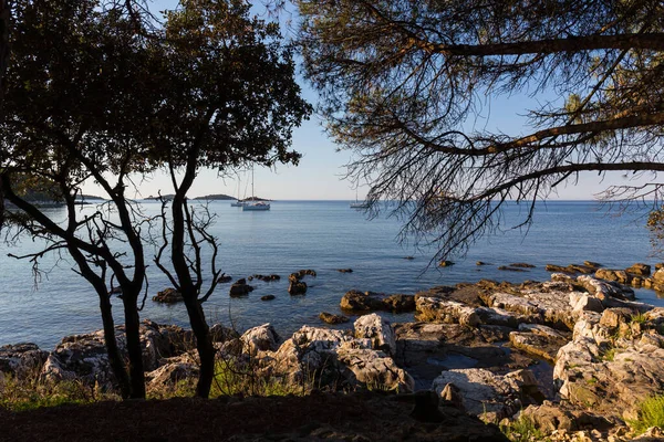 Закат Роскошная Яхта Море Ровинь Хорватия — стоковое фото