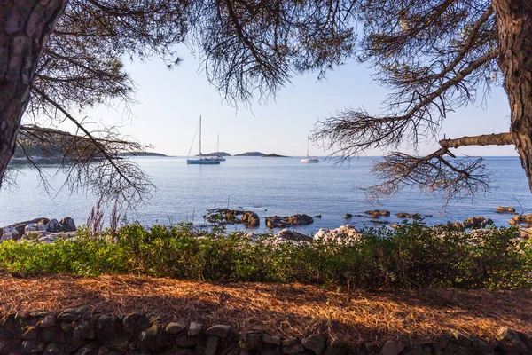Tramonto Yacht Lusso Nel Mare Rovigno Croazia — Foto Stock