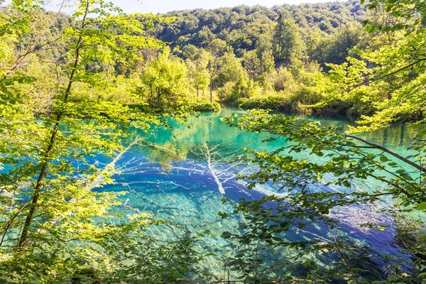 Διάσημο Κροατικά Εθνικού Δρυμού Plitvice Lakes Στην Ευρώπη — Φωτογραφία Αρχείου