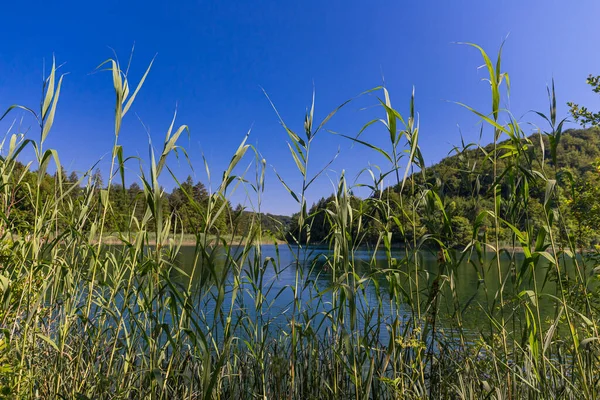 Famoso Croata Plitvice Lakes National Park Europa — Fotografia de Stock