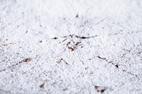 Крупный План Шоколадных Брауни Белой Тарелке Сахарной Пудрой — стоковое фото