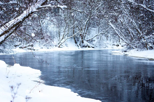 Calma Foresta Fiume Sotto Neve Inverno — Foto Stock