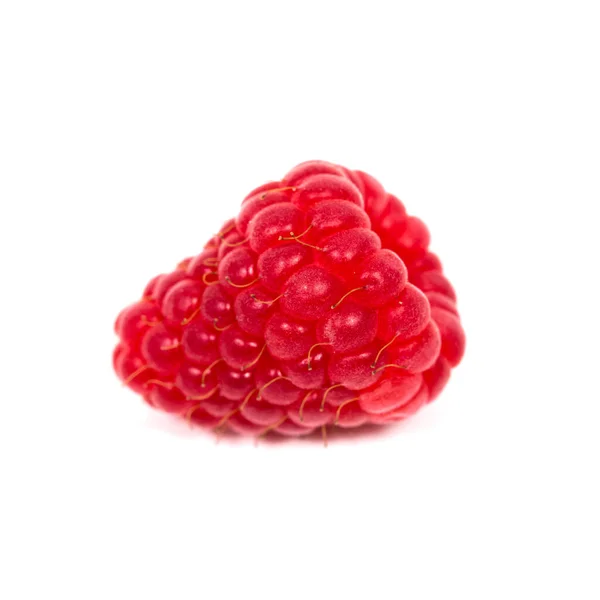 Ripe Red Raspberry Isolated White Background — Stock Photo, Image
