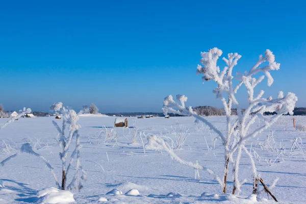Çiftlik Sahasındaki Kar Döşeme Saman Balya — Stok fotoğraf