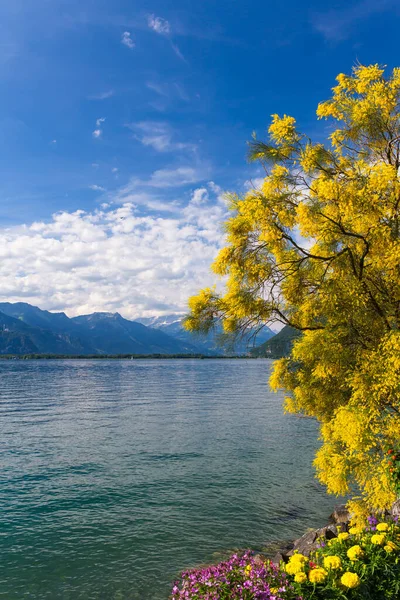 Montagnes Lac Léman Depuis Embankment Montreux Suisse — Photo