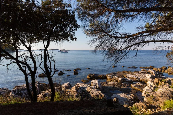 Solnedgång Och Lyxyacht Havet Rovinj Kroatien — Stockfoto