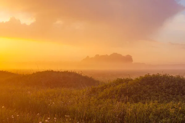 Mlhavá Louka Při Západu Slunce Lesem Pozadí — Stock fotografie