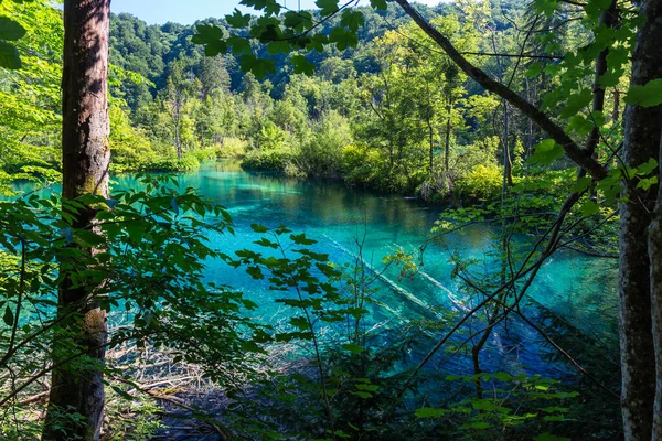 Berühmte Kroatische Plitvicer Seen Nationalpark Europa — Stockfoto