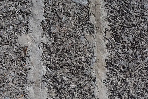 Стара Брудна Текстура Цементно Бетонний Фон Стіни — стокове фото