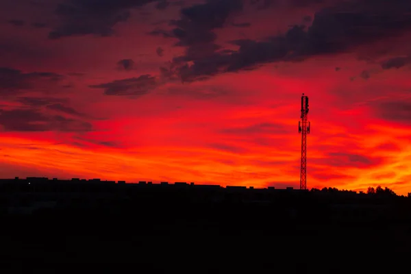 Cielo Rojo Atardecer Muy Dramático Norte Por Noche Sobre Bosque — Foto de Stock