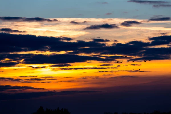 Ptaki Lecące Zachodzie Słońca Nad Wieczornym Niebem — Zdjęcie stockowe