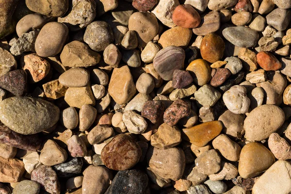 Wet Stone Pebbles Texture Details Stone Pebbles Background Can Used — Stock Photo, Image