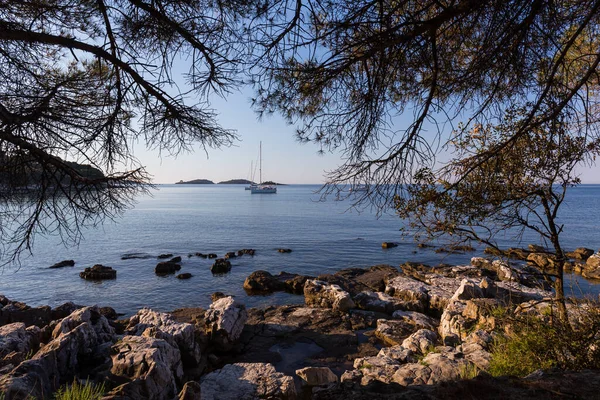 夕日と海の高級ヨット Rovinj Croatia — ストック写真