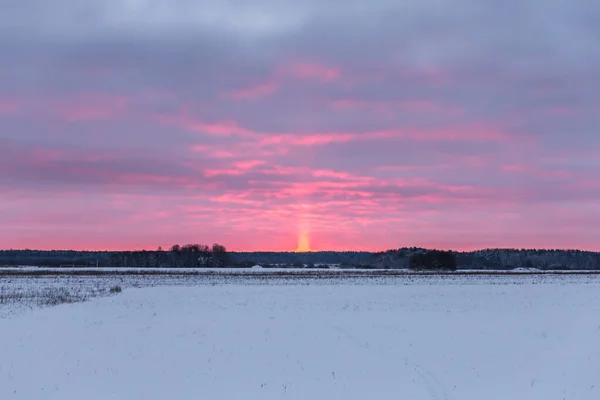 Winteravond Bij Platteland Roze Zonsondergang — Stockfoto