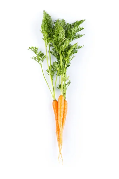 Fresh Carrots Green Leaves Isolated White Background Vegetable Food — Stock Photo, Image