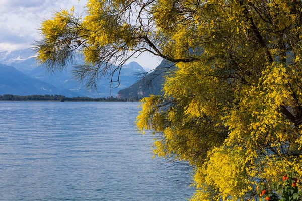 山和从路堤在蒙特勒日内瓦湖 — 图库照片