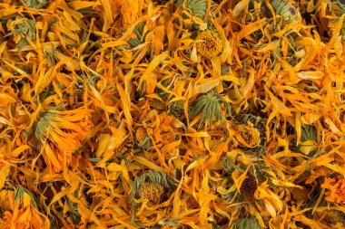 Calendula flowewr çay infüzyon arka planı için